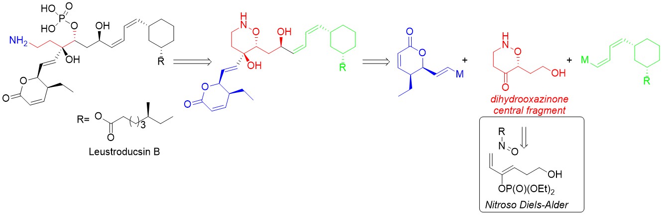 Schema nitroso 1.jpg