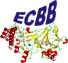 Logo ECBB.png