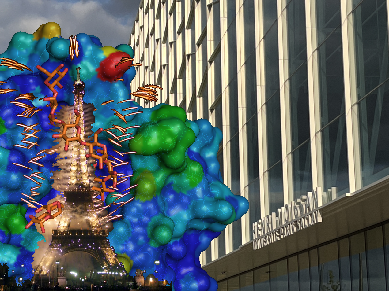 thumbnail_CPJ-ICMMO-Eiffel-1.png