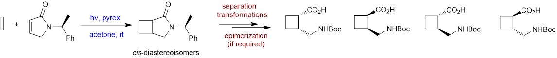 Photochem 6new.png