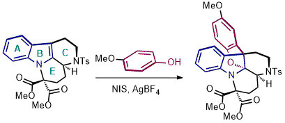 GA Synthesis 2018 NIS.gif