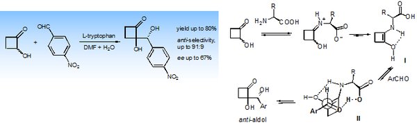 organo homogene 2.png