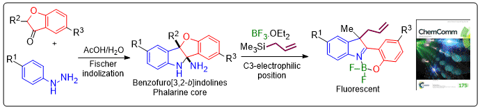 GA ChemCom 2016 Fischer.gif