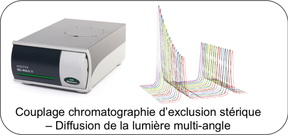 HPLC-SEC_Diffusion.png