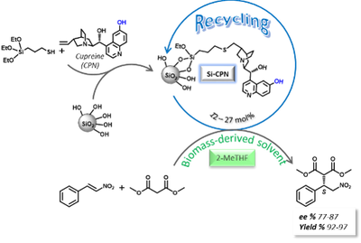 Catalysis Si-CPN.png