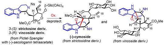 2020 Cymoside enantiopure.jpg