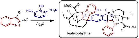 GA Synthesis Bipleio 2018.png