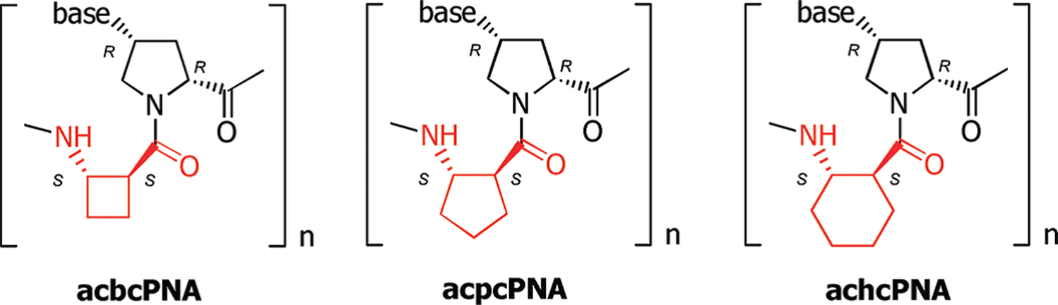 Peptides 3.png