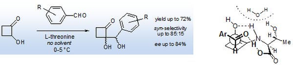 organo homogene 3.png