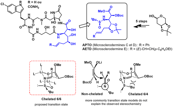 Peptides 2.png