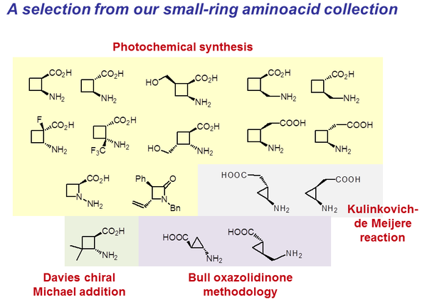 Amino-Acids.png