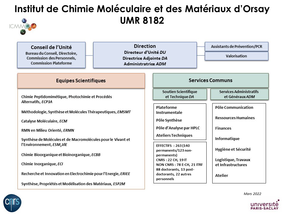 Organigramme