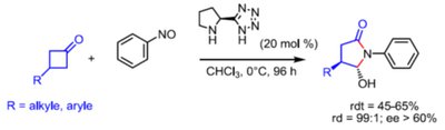 organo homogene 1.png